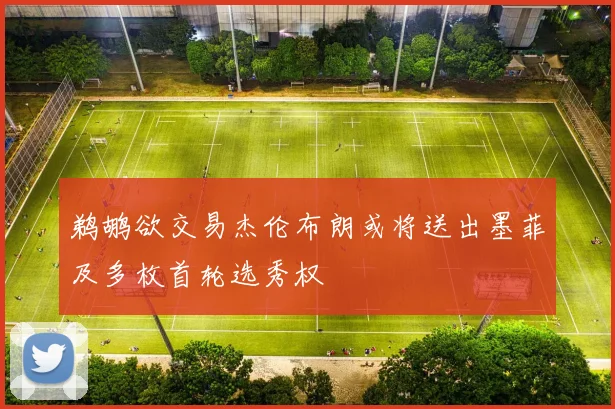 鹈鹕欲交易杰伦布朗或将送出墨菲及多枚首轮选秀权