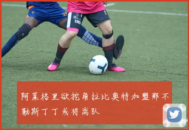 阿莱格里欲挖角拉比奥特加盟那不勒斯丁丁或将离队